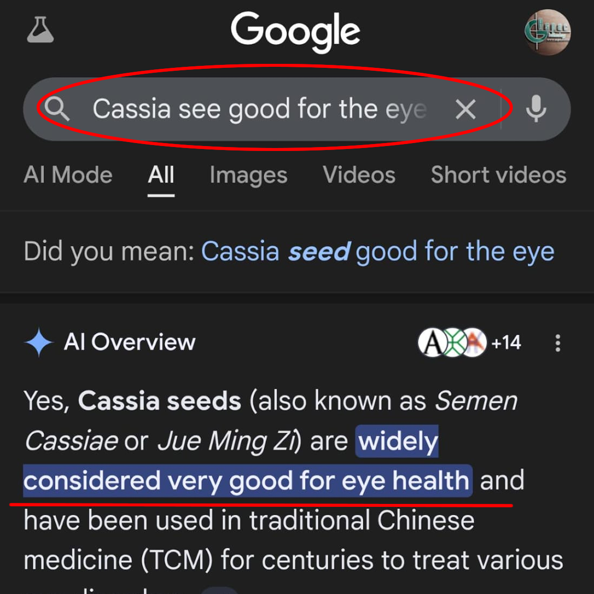 cassiaseed